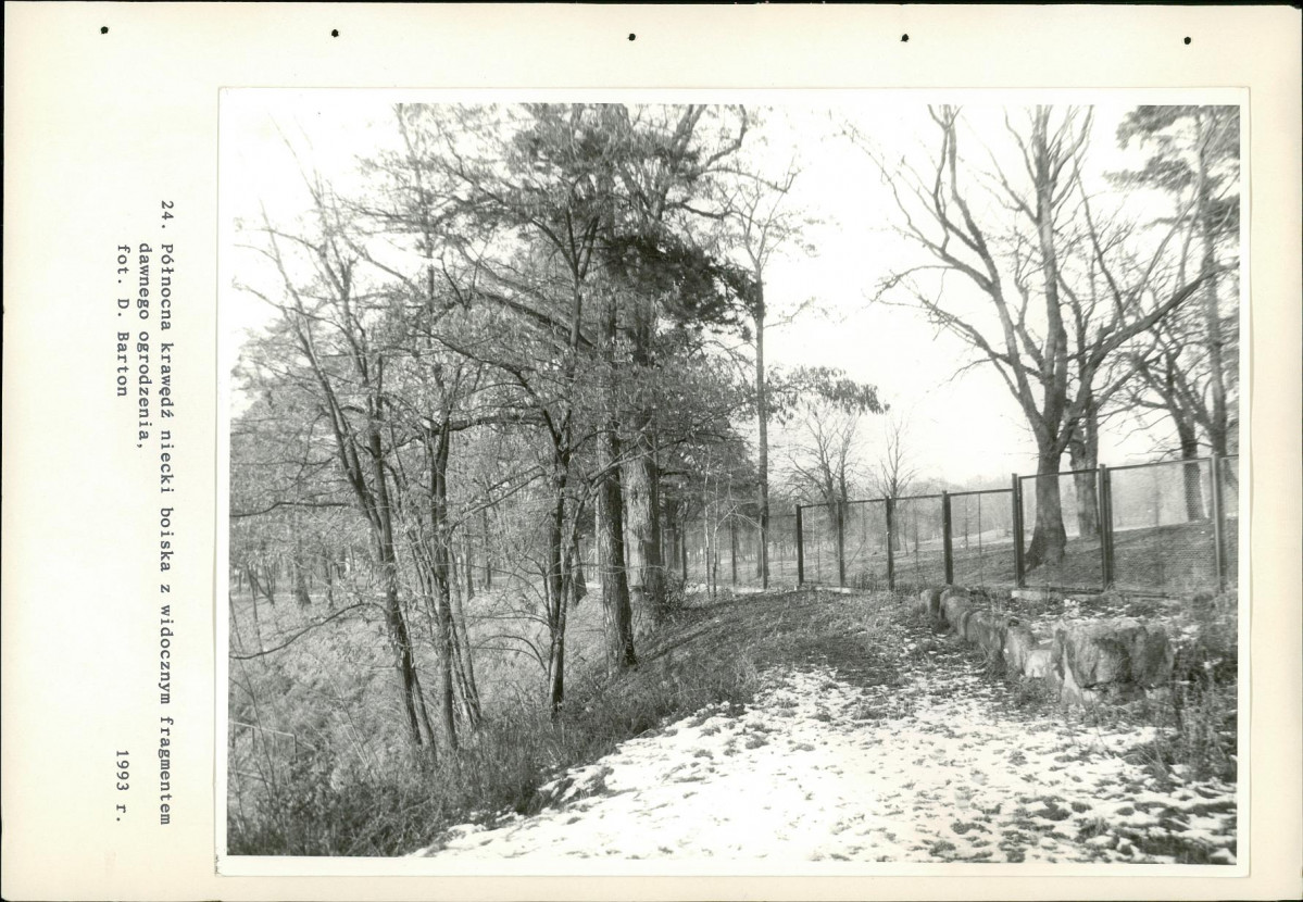 EP - Ewidencja parkowa, skan nr 81