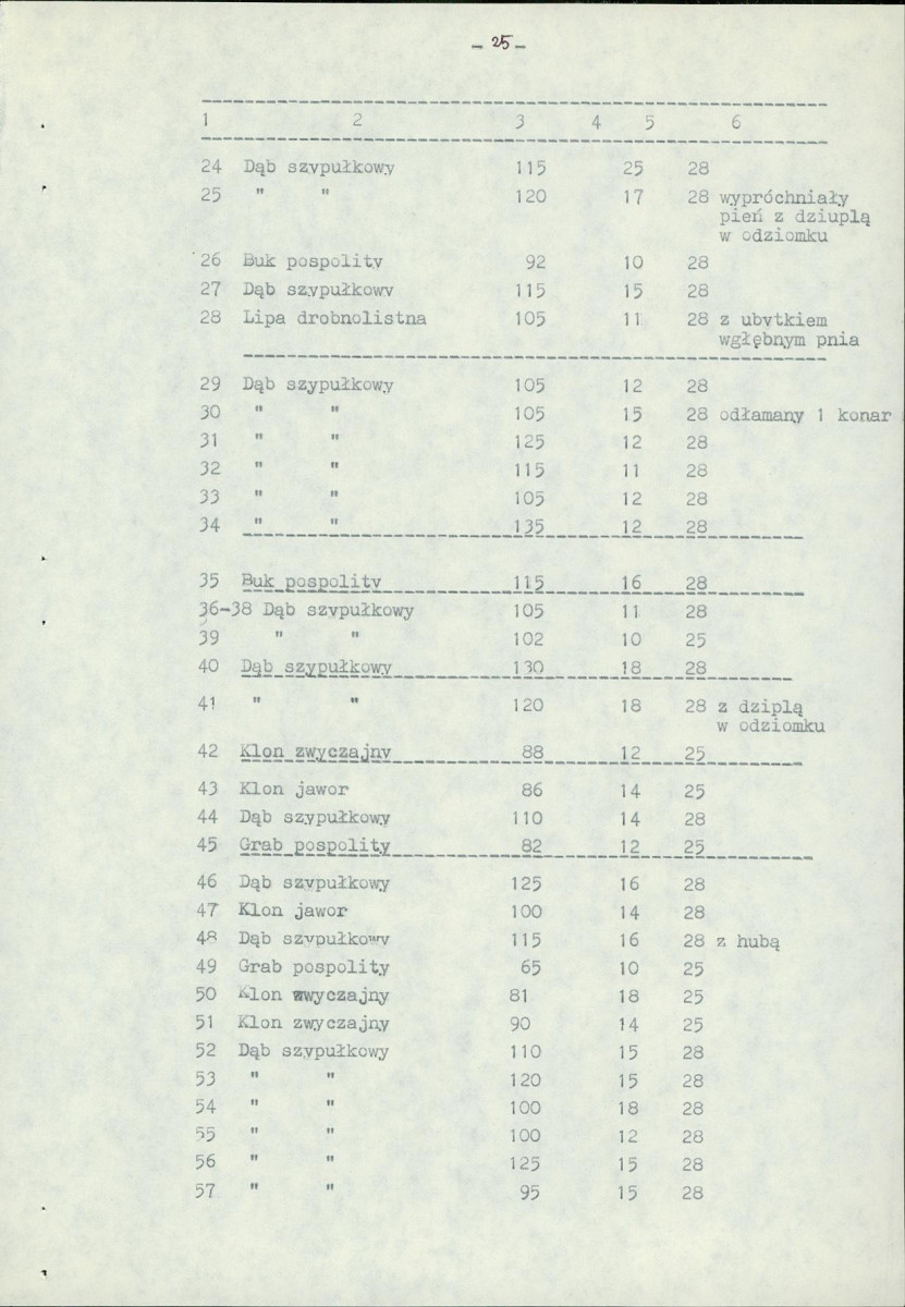 EP - Ewidencja parkowa, skan nr 38