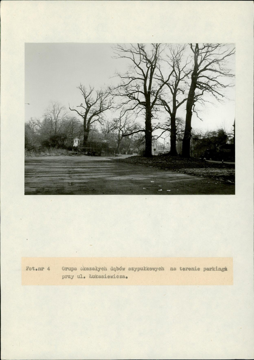 EP - Ewidencja parkowa, skan nr 60