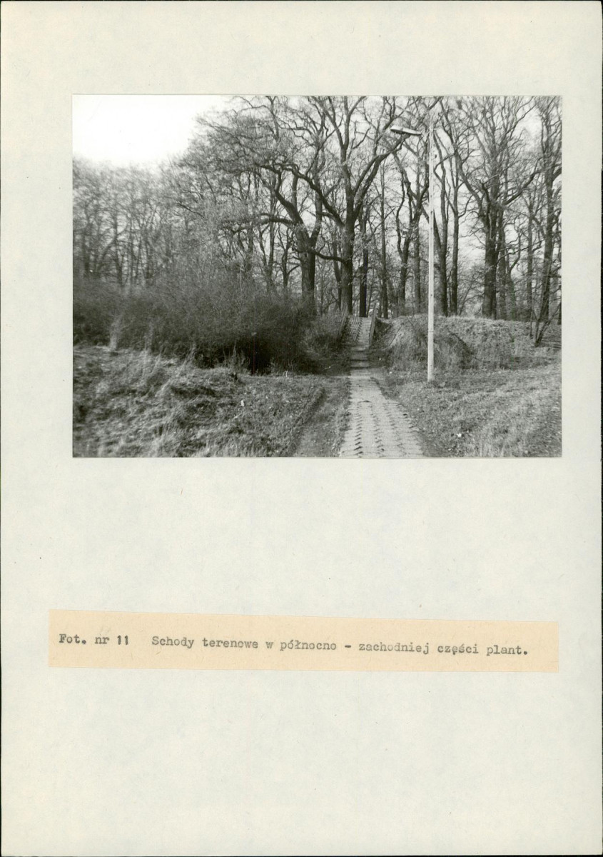 EP - Ewidencja parkowa, skan nr 67