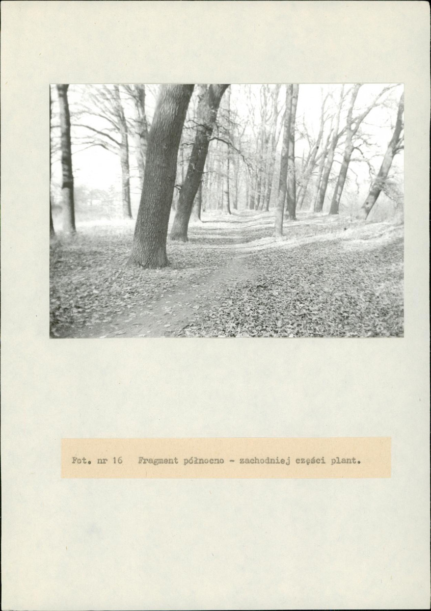 EP - Ewidencja parkowa, skan nr 72
