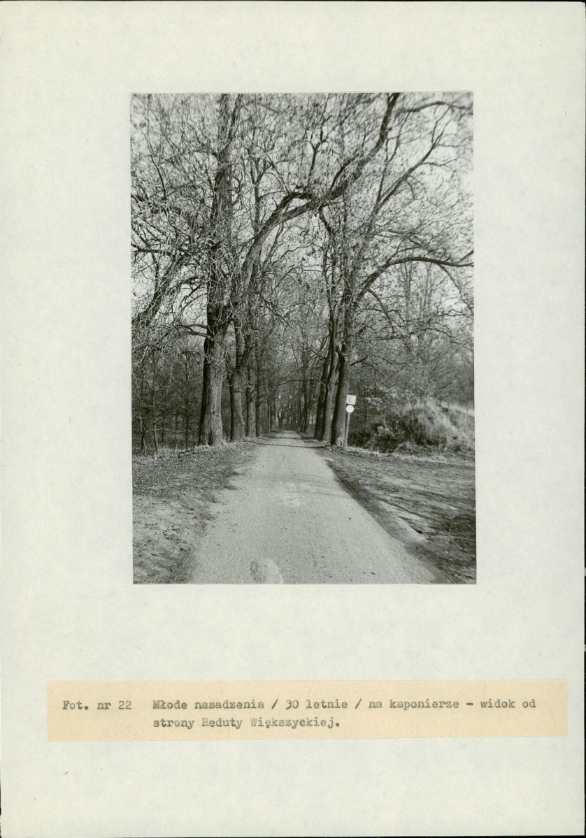 EP - Ewidencja parkowa, skan nr 78