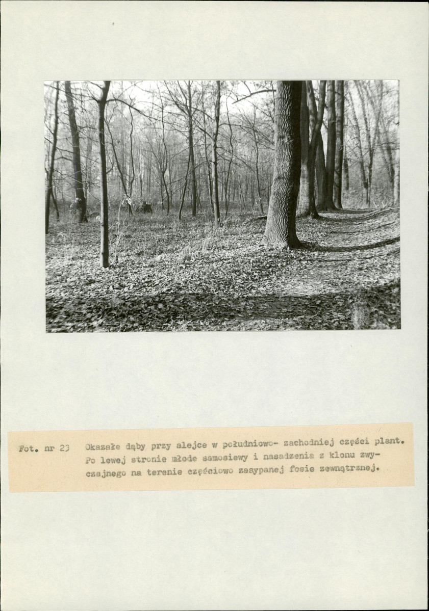 EP - Ewidencja parkowa, skan nr 79