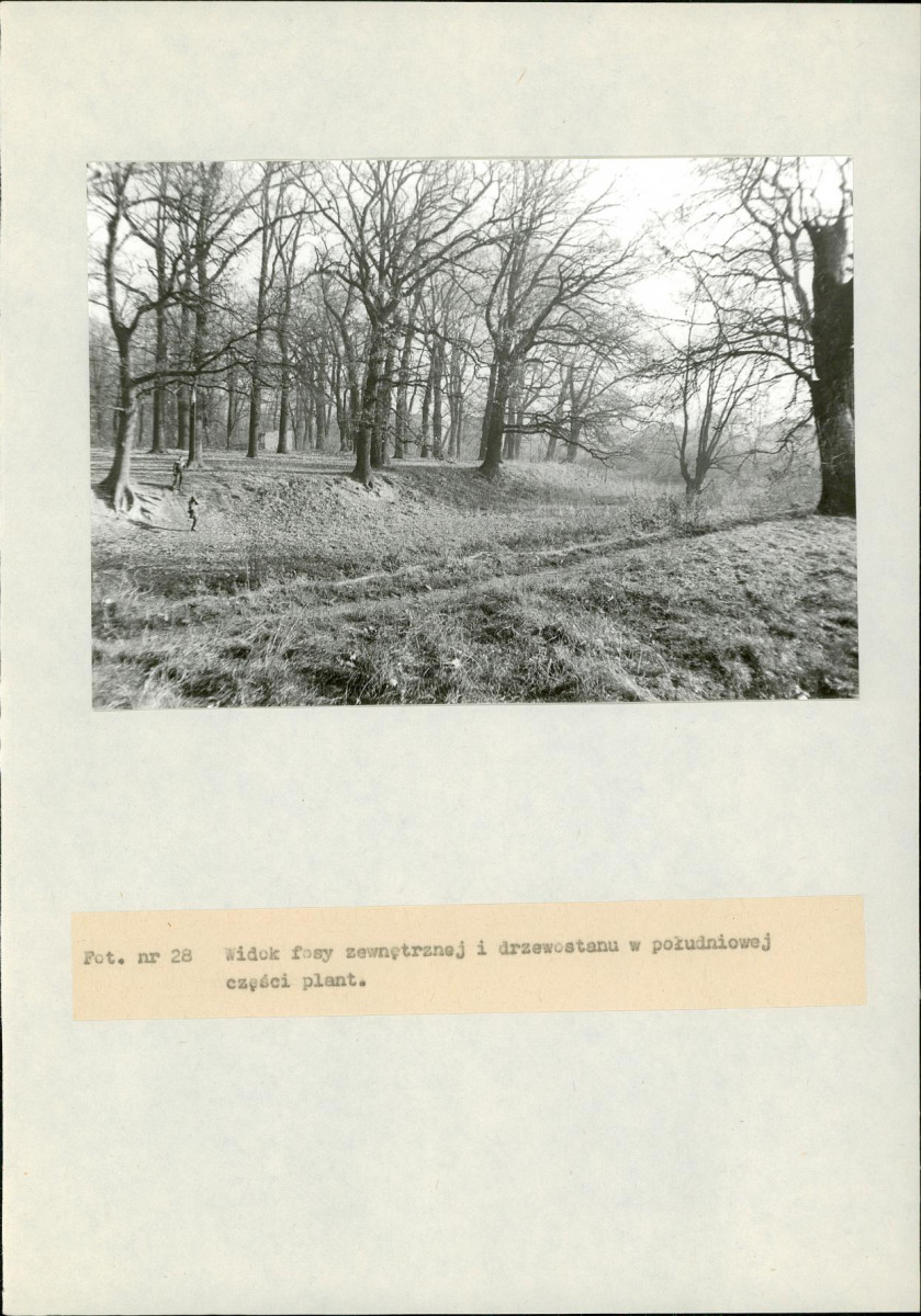EP - Ewidencja parkowa, skan nr 84
