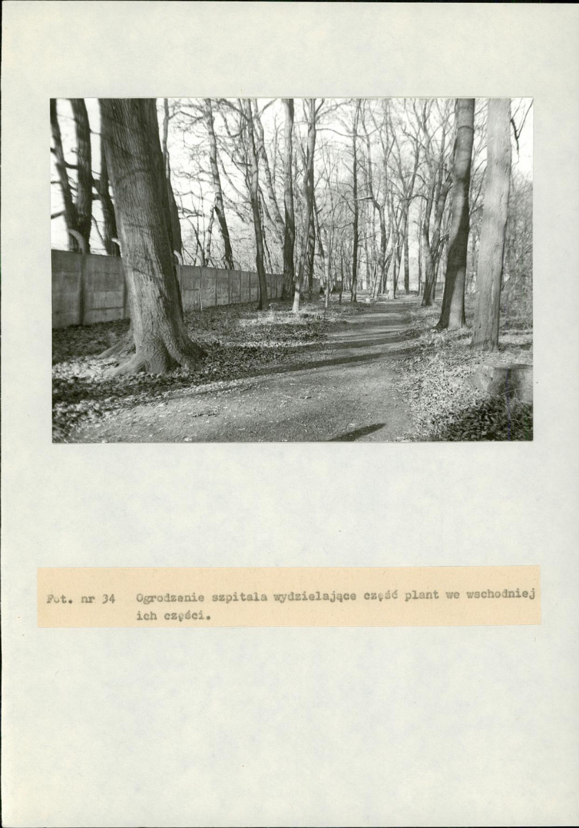 EP - Ewidencja parkowa, skan nr 90
