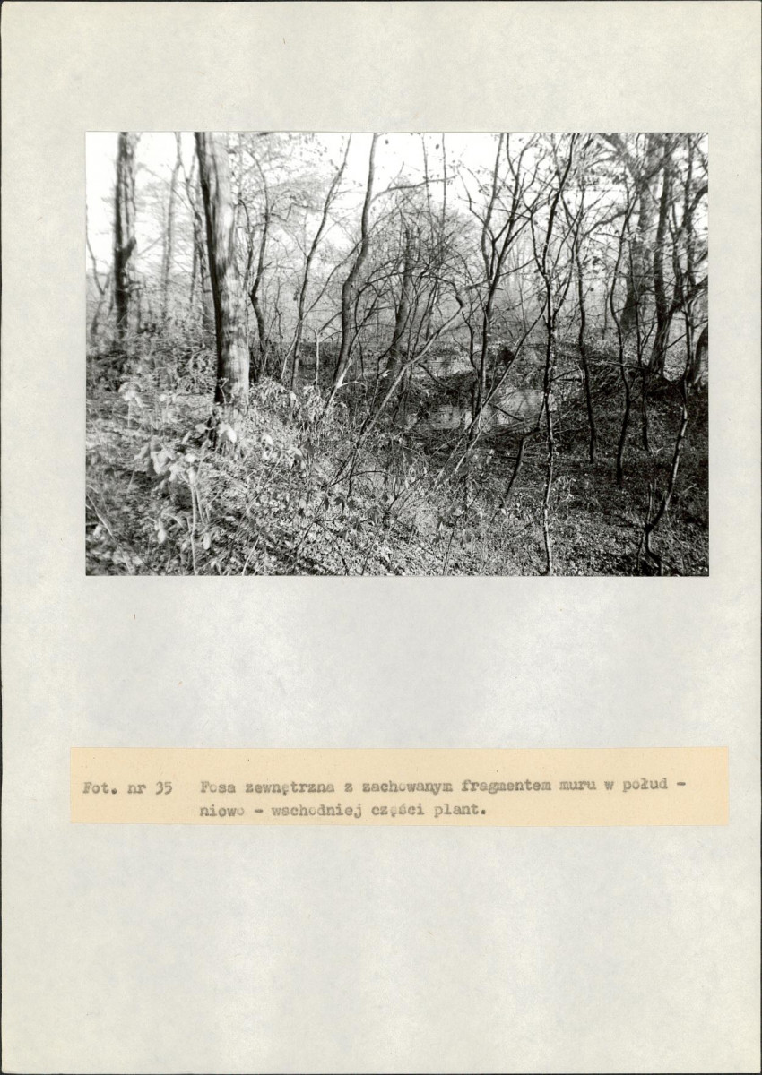 EP - Ewidencja parkowa, skan nr 91