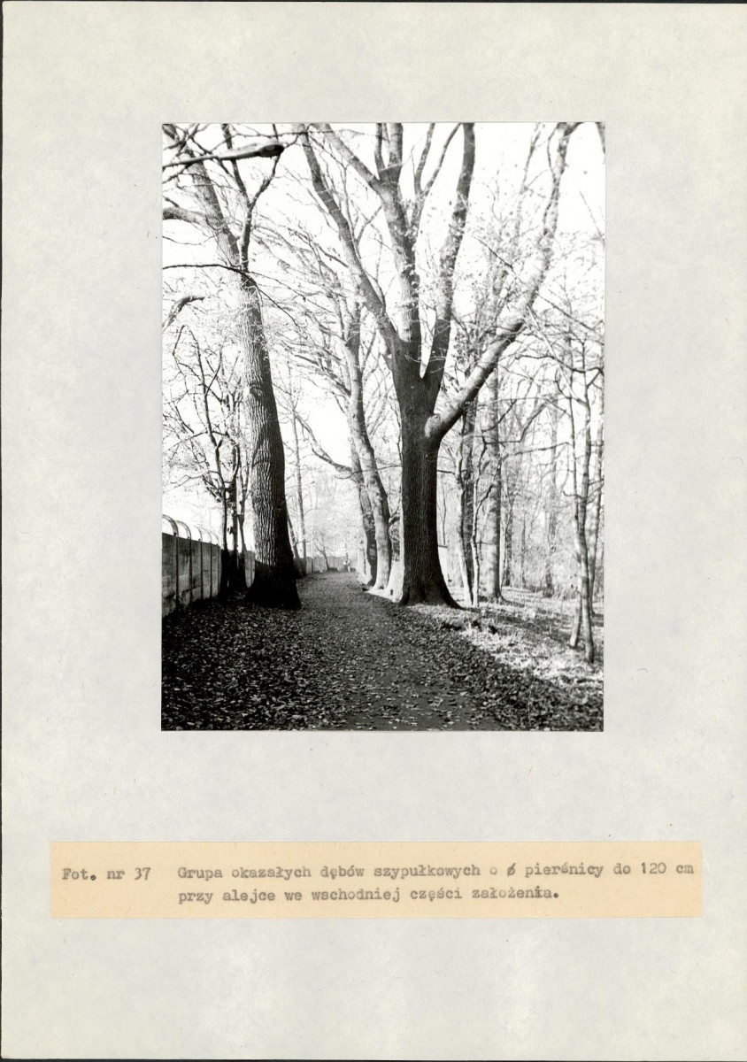 EP - Ewidencja parkowa, skan nr 93