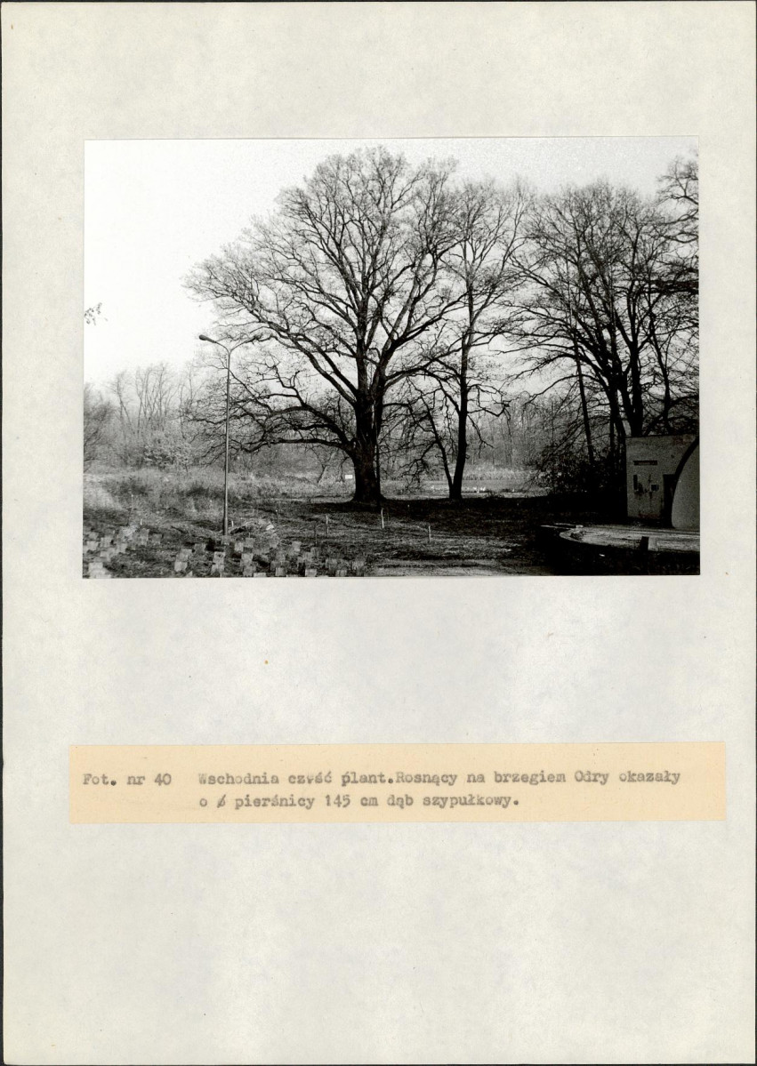 EP - Ewidencja parkowa, skan nr 96