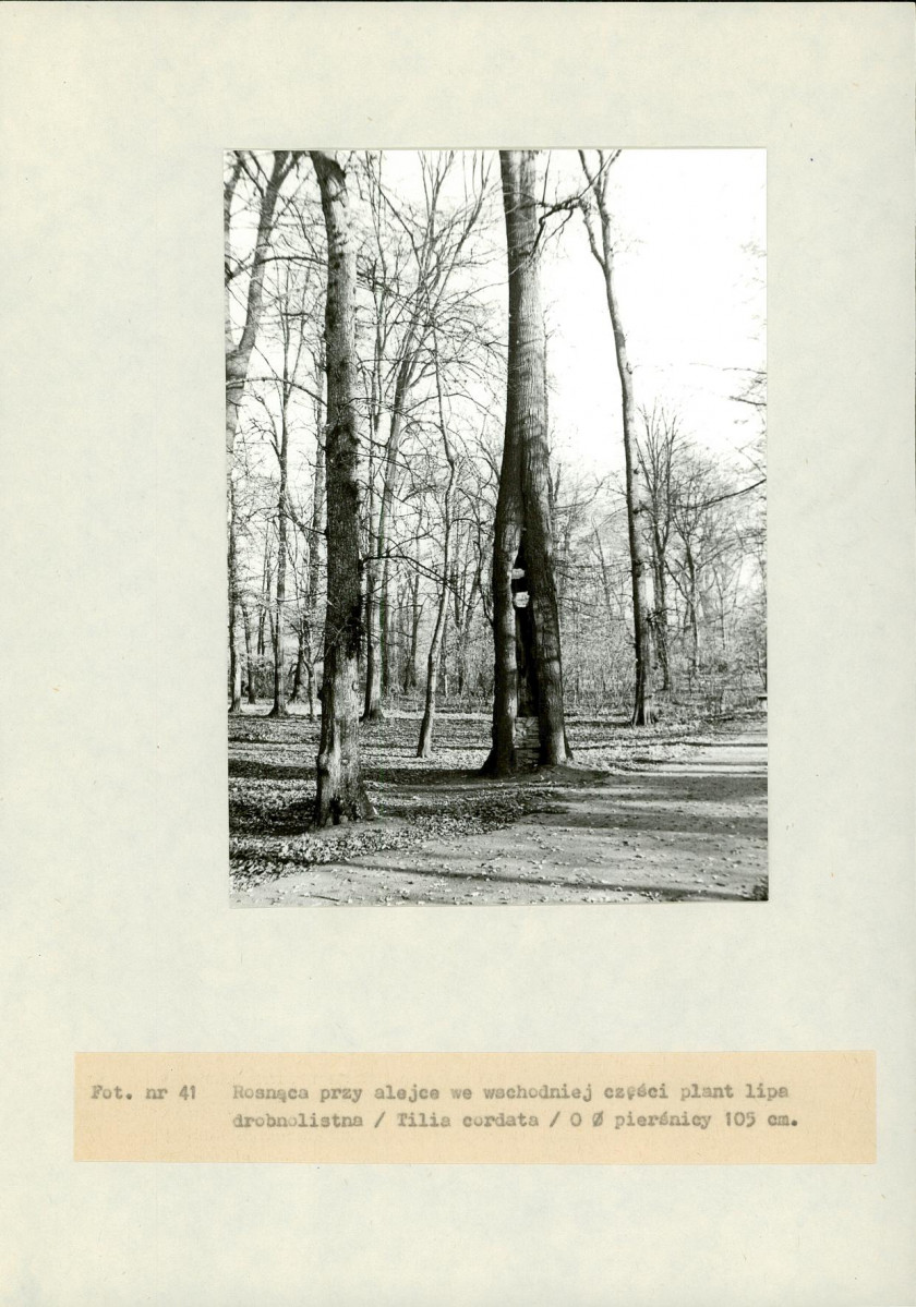 EP - Ewidencja parkowa, skan nr 97