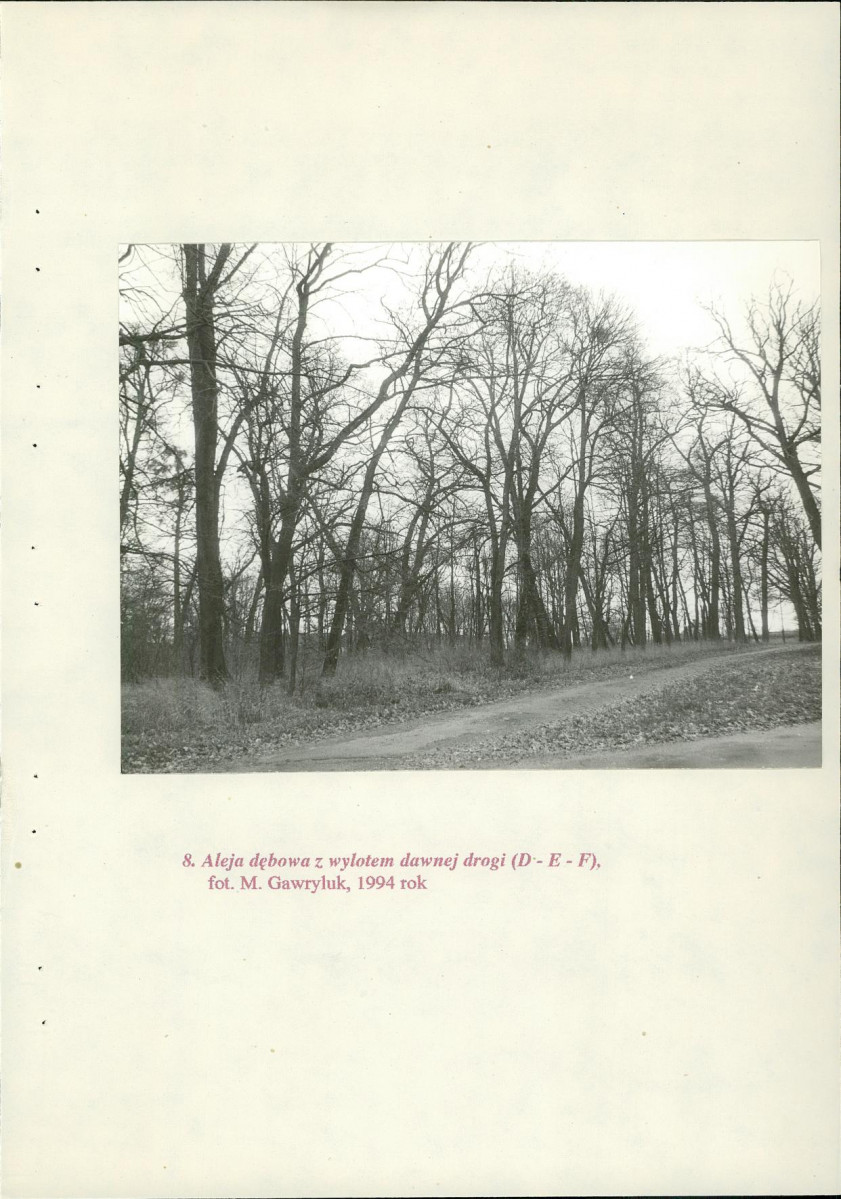 EP - Ewidencja parkowa, skan nr 63