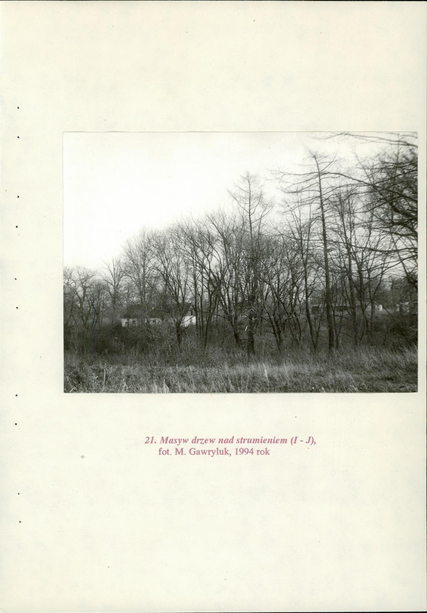 EP - Ewidencja parkowa, skan nr 76