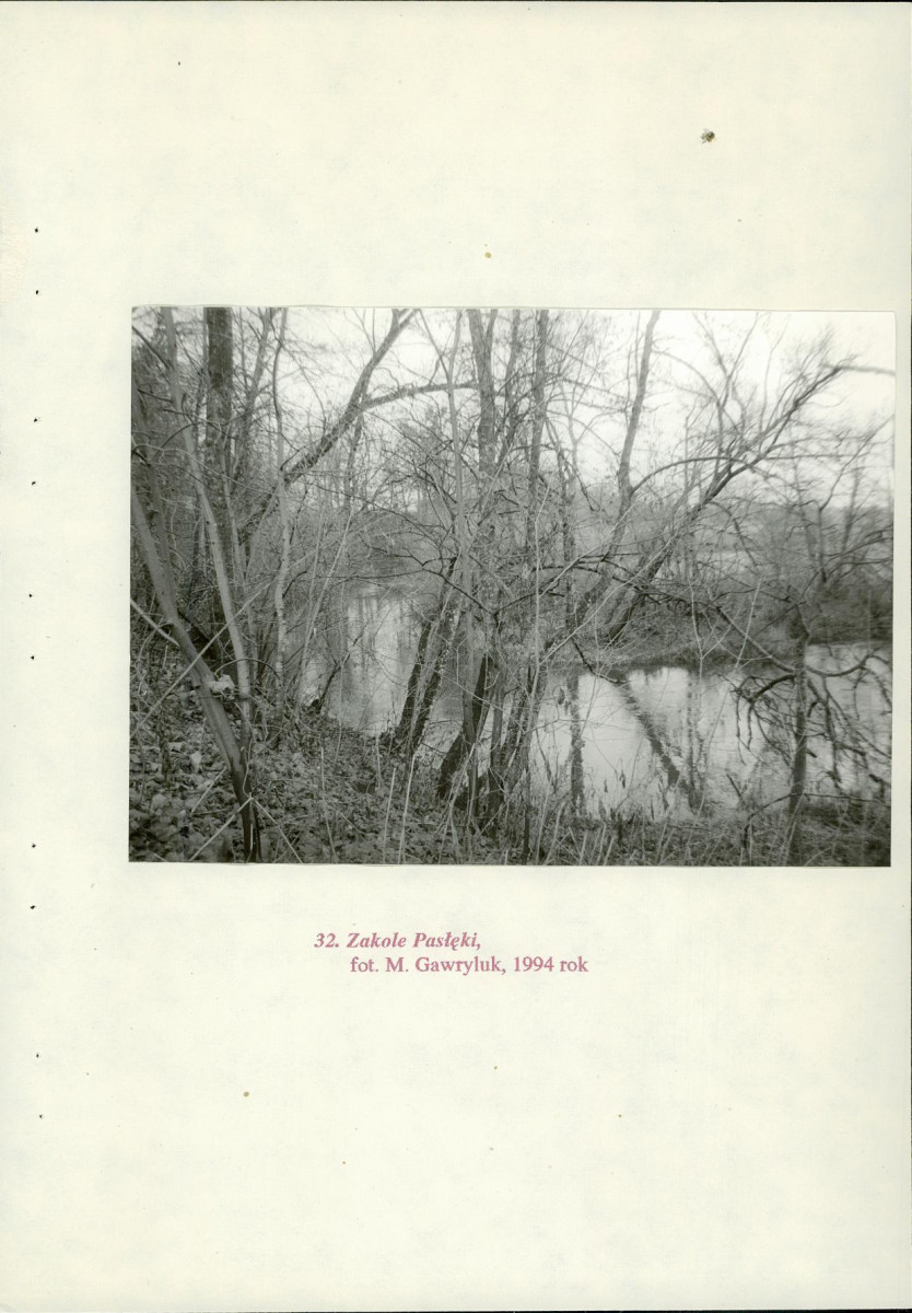EP - Ewidencja parkowa, skan nr 87