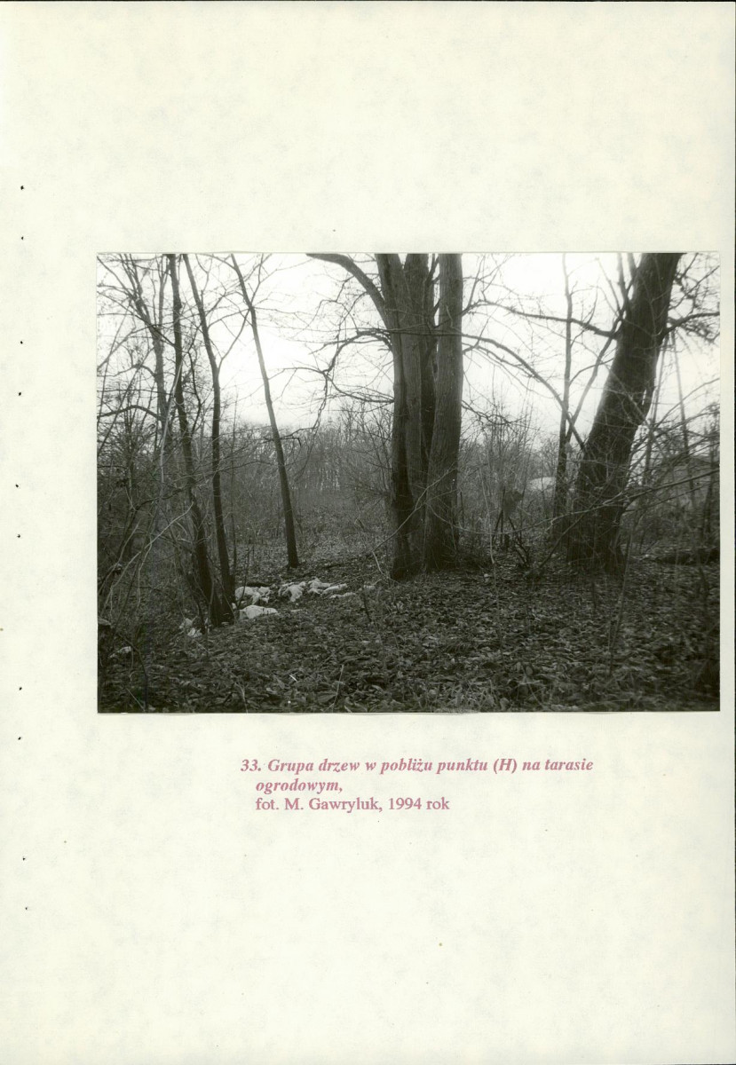 EP - Ewidencja parkowa, skan nr 88