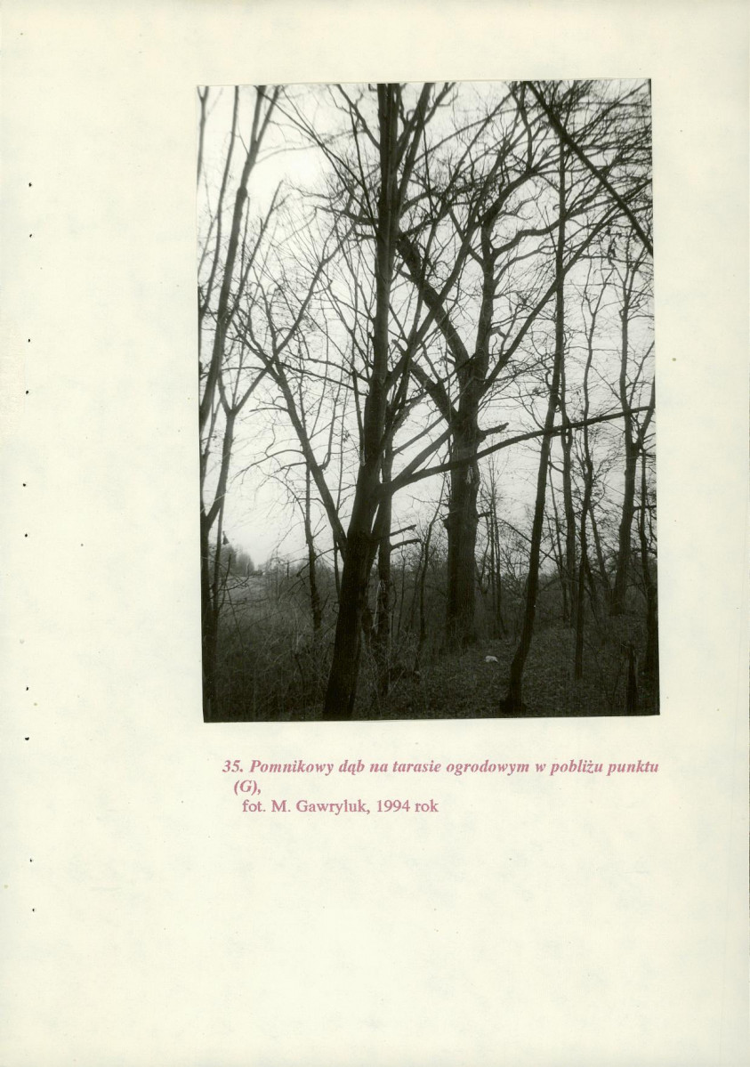 EP - Ewidencja parkowa, skan nr 90