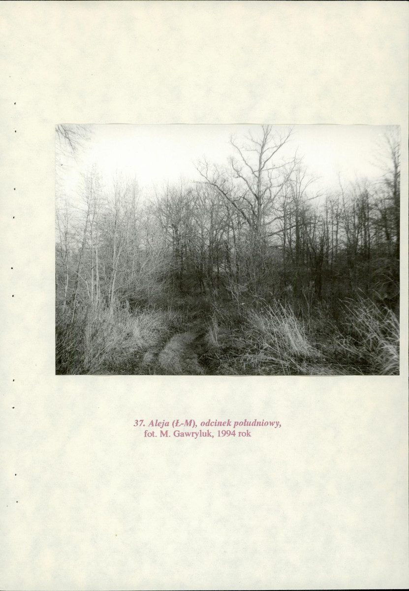 EP - Ewidencja parkowa, skan nr 92