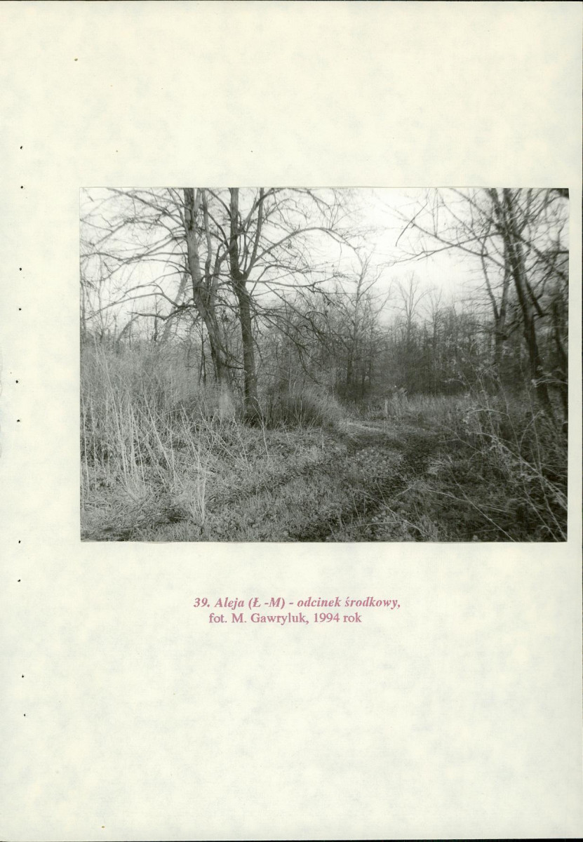 EP - Ewidencja parkowa, skan nr 94