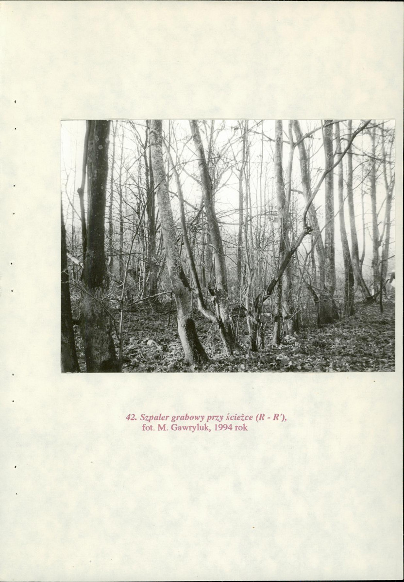 EP - Ewidencja parkowa, skan nr 97