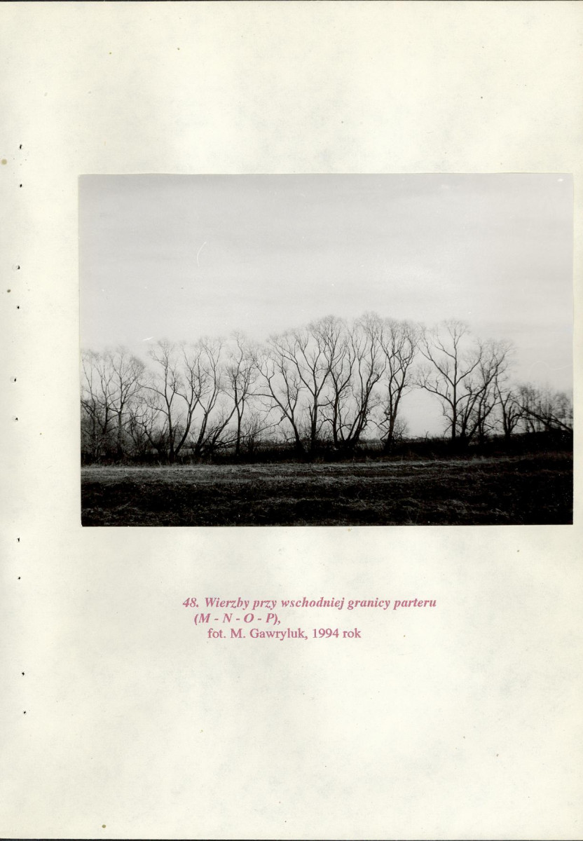 EP - Ewidencja parkowa, skan nr 103