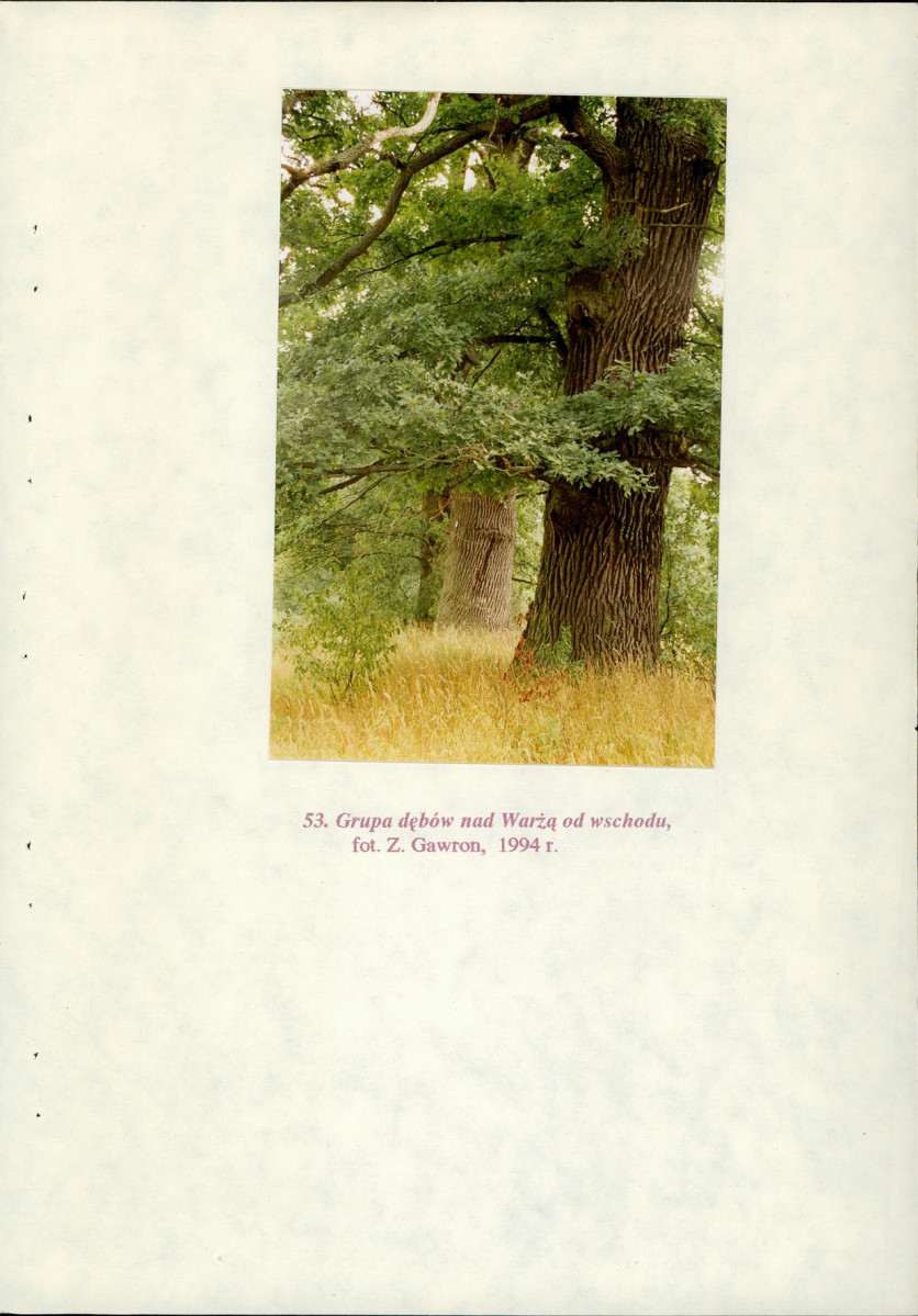EP - Ewidencja parkowa, skan nr 108