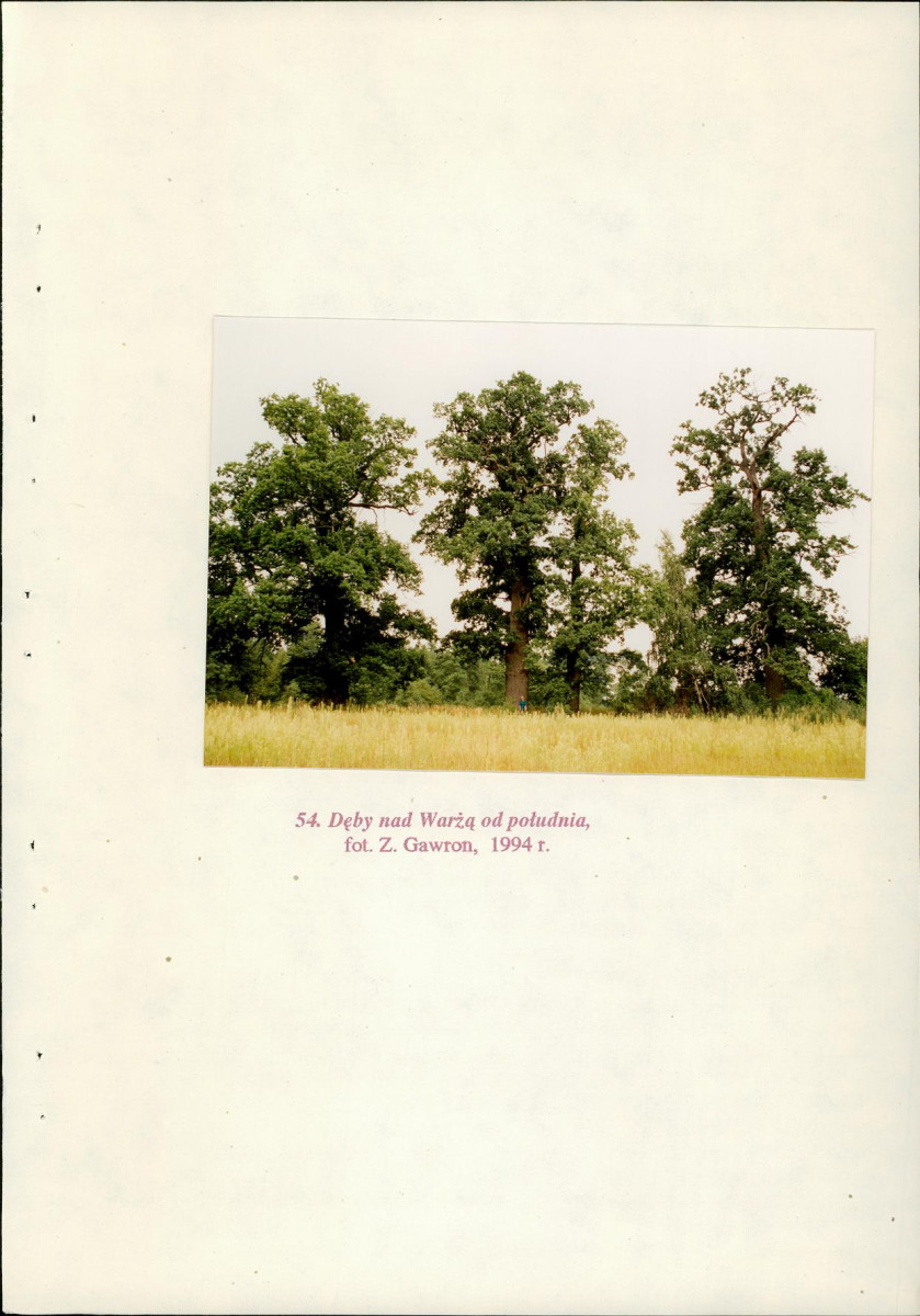 EP - Ewidencja parkowa, skan nr 109