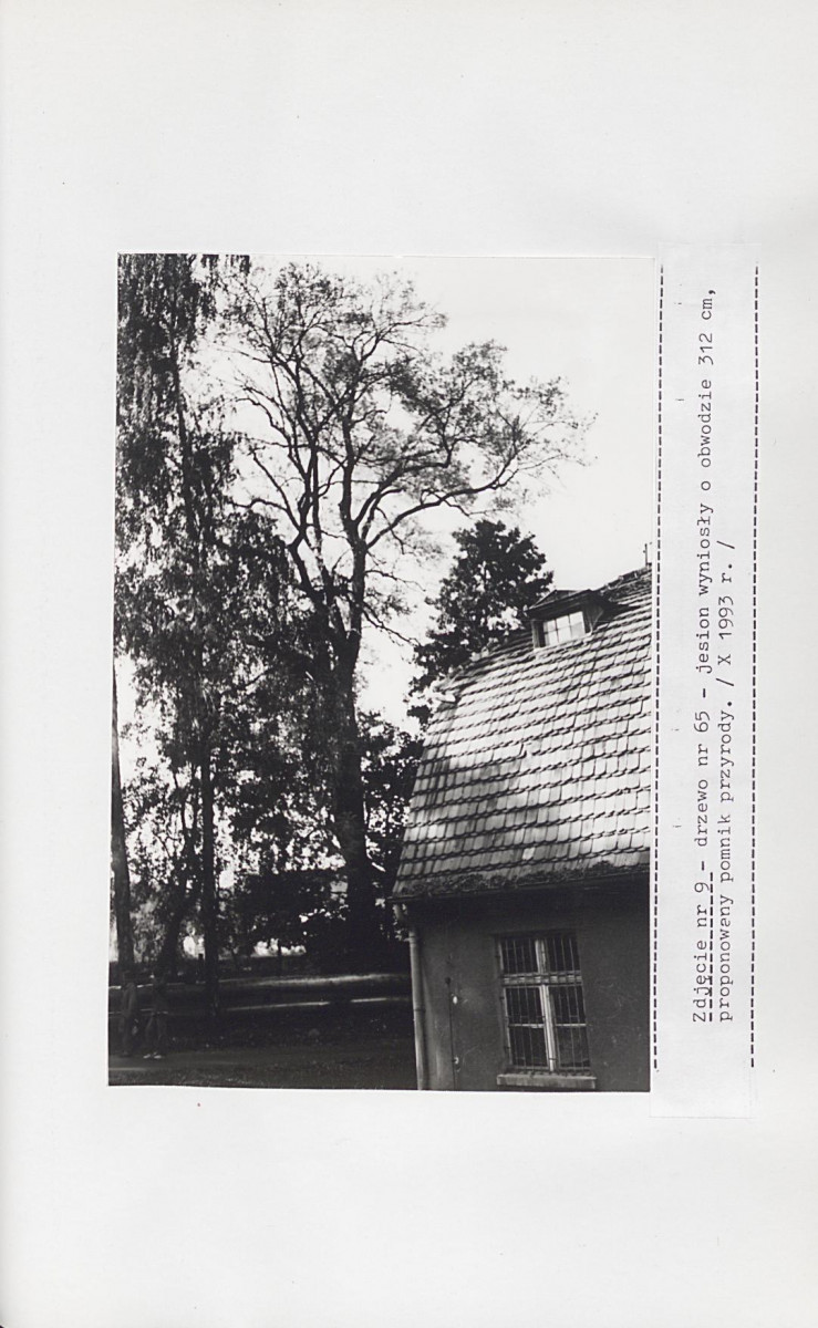 EP - Ewidencja parkowa, skan nr 75