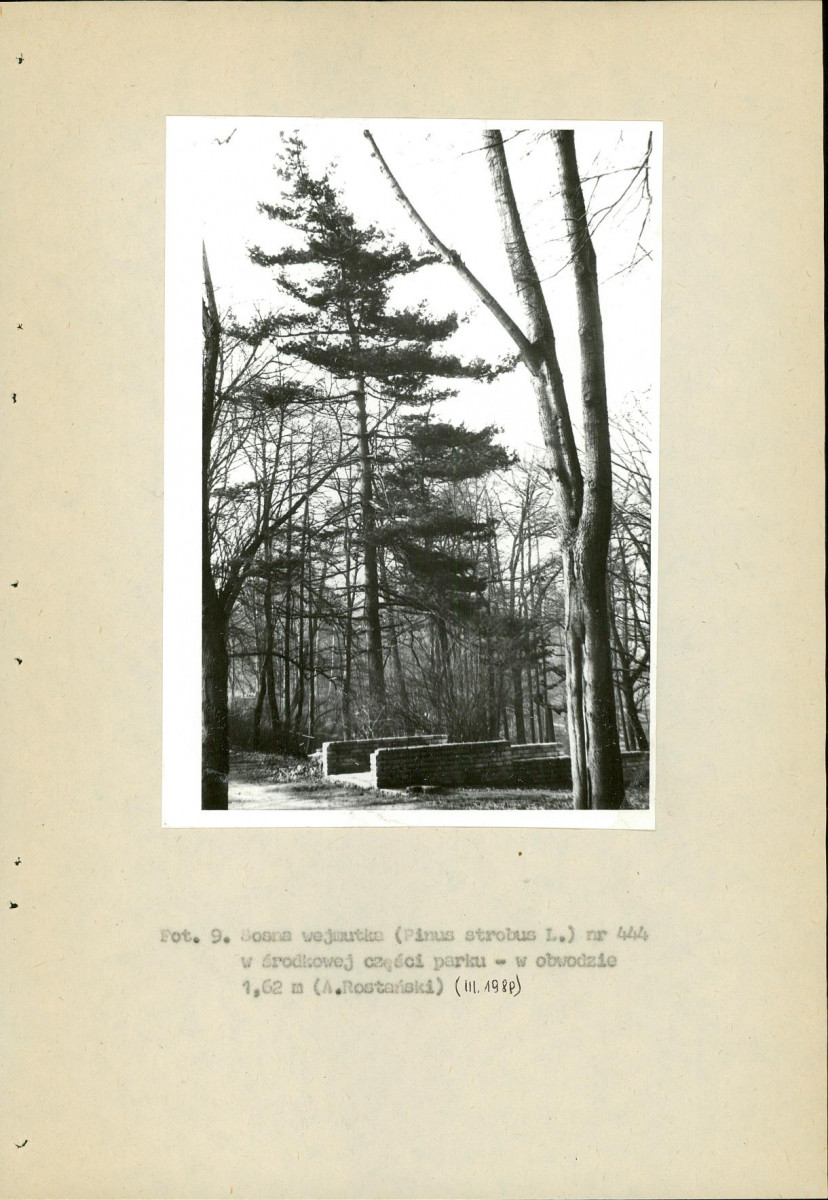 EP - Ewidencja parkowa, skan nr 113