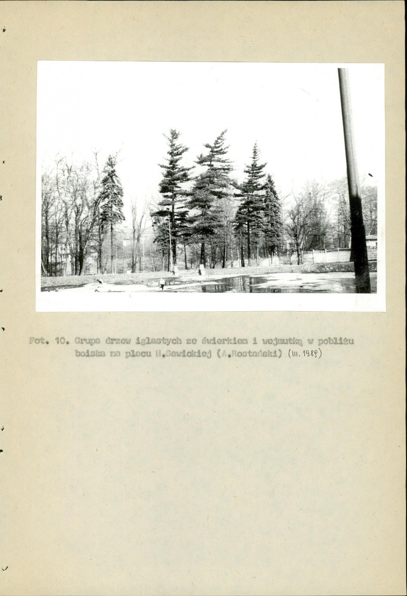 EP - Ewidencja parkowa, skan nr 114
