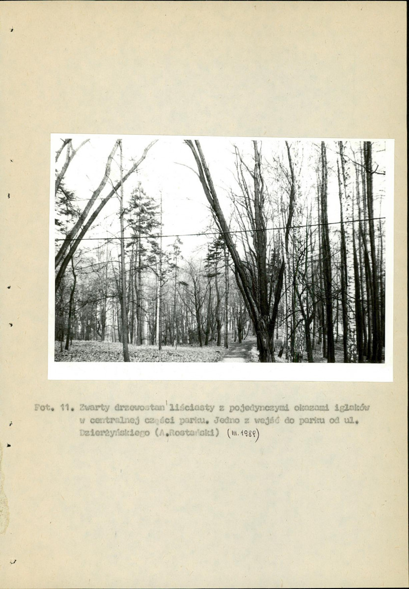 EP - Ewidencja parkowa, skan nr 115