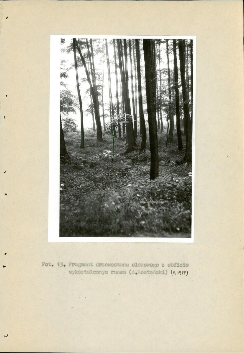 EP - Ewidencja parkowa, skan nr 117
