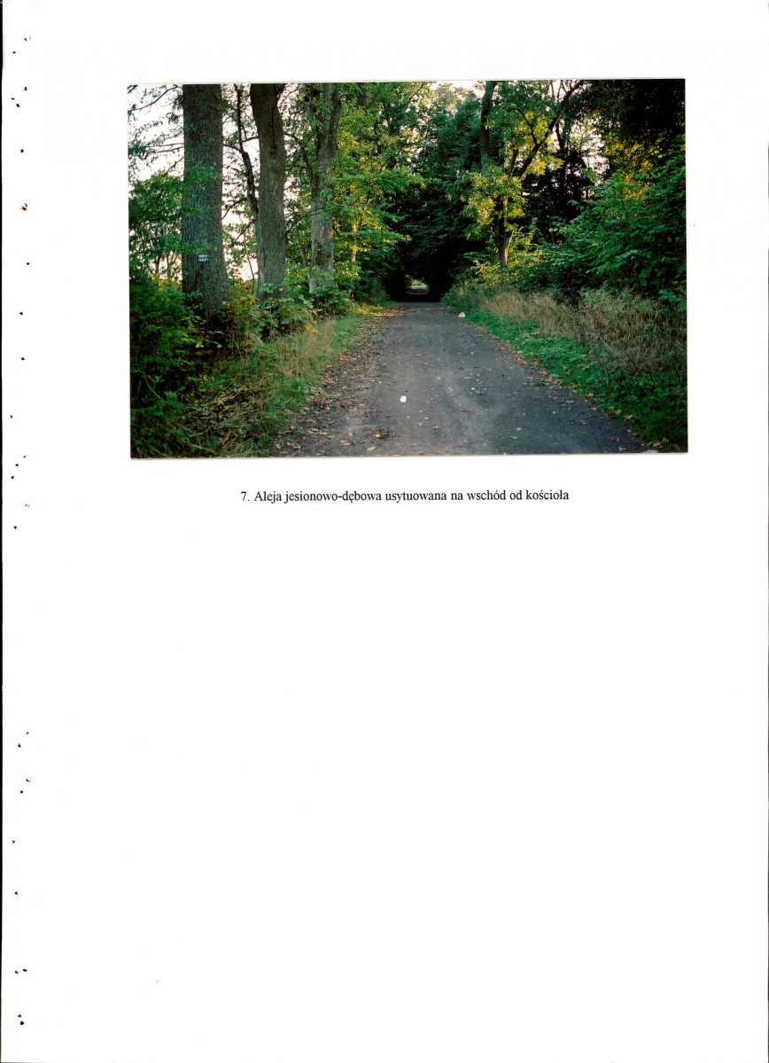 EP - Ewidencja parkowa, skan nr 66