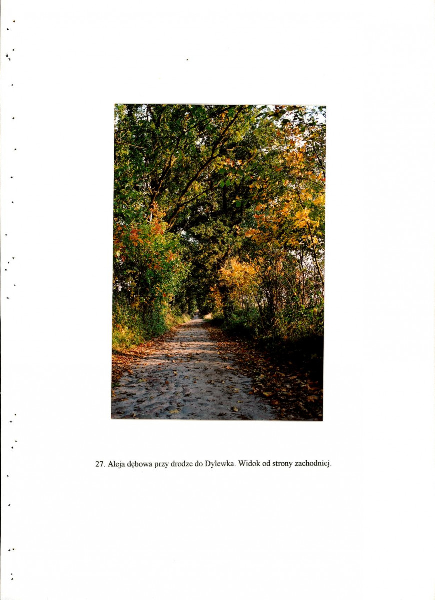 EP - Ewidencja parkowa, skan nr 78