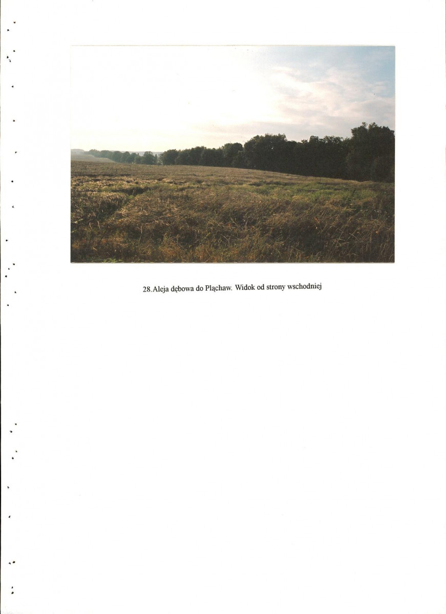 EP - Ewidencja parkowa, skan nr 79