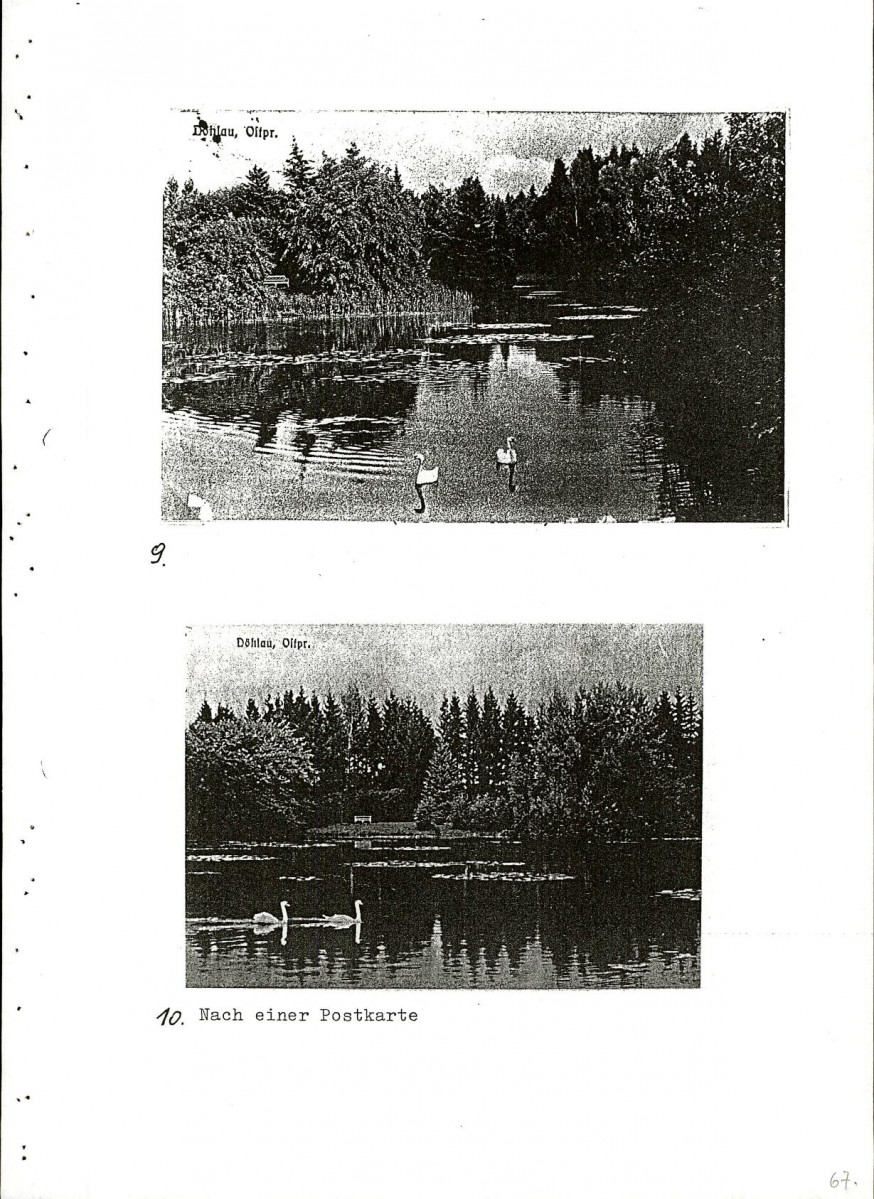 EP - Ewidencja parkowa, skan nr 87