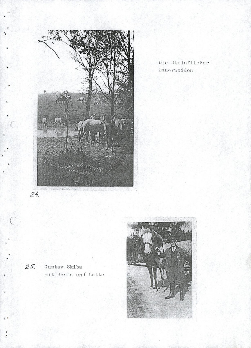 EP - Ewidencja parkowa, skan nr 96