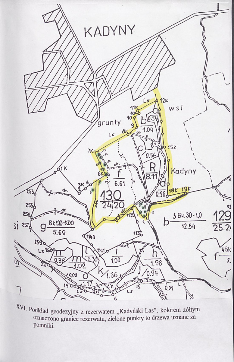 EP - Ewidencja parkowa, skan nr 114
