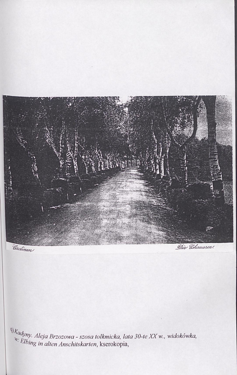 EP - Ewidencja parkowa, skan nr 131