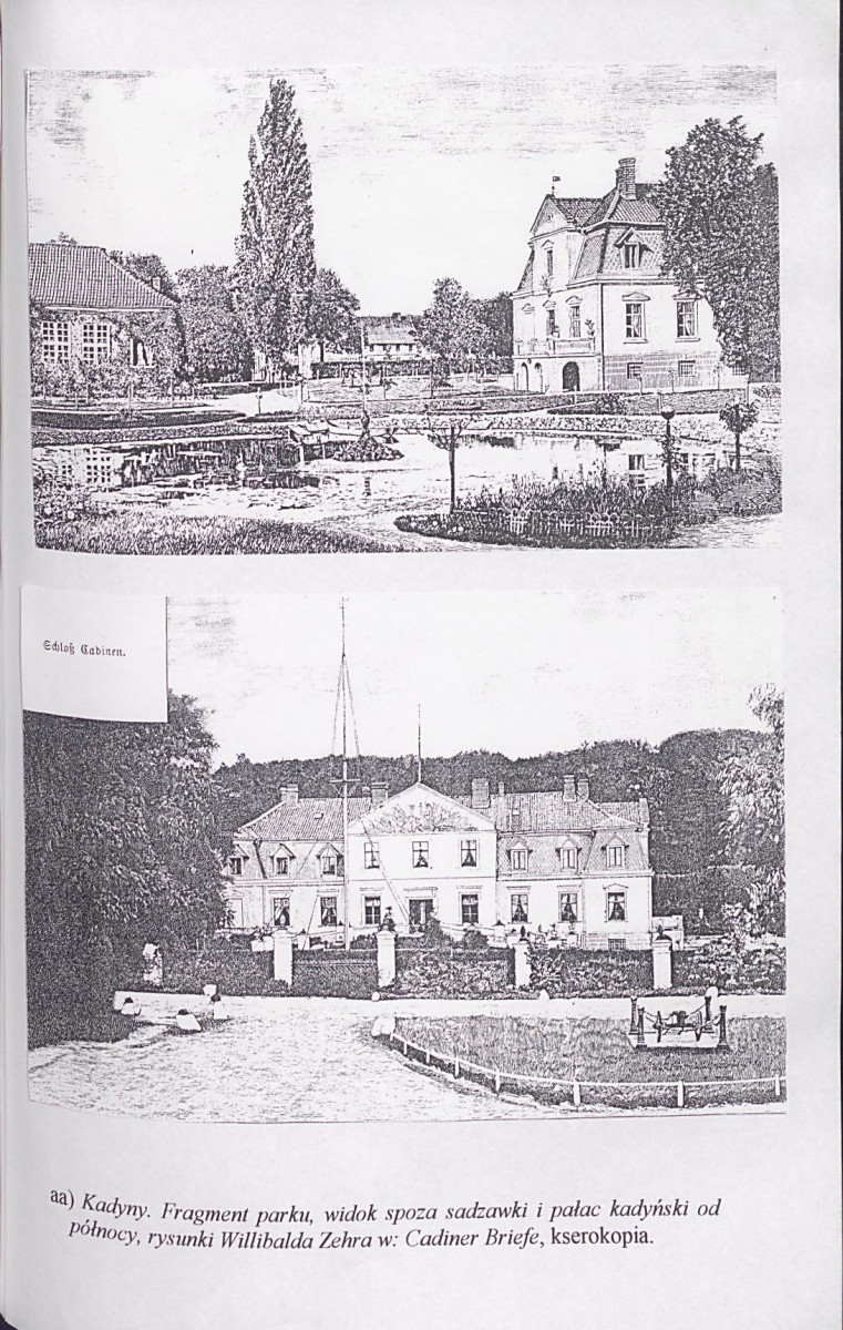 EP - Ewidencja parkowa, skan nr 141