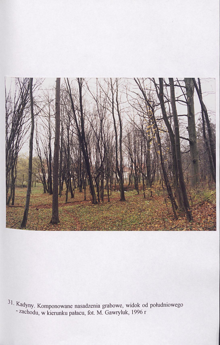 EP - Ewidencja parkowa, skan nr 173