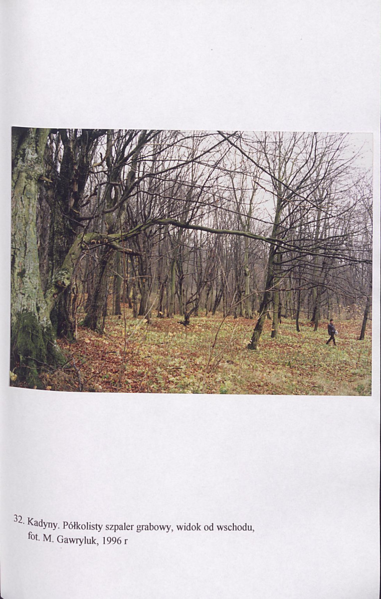 EP - Ewidencja parkowa, skan nr 174