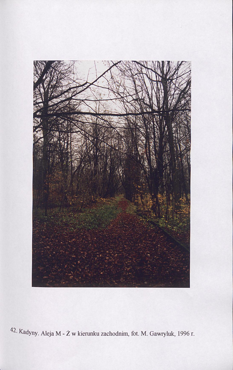 EP - Ewidencja parkowa, skan nr 184