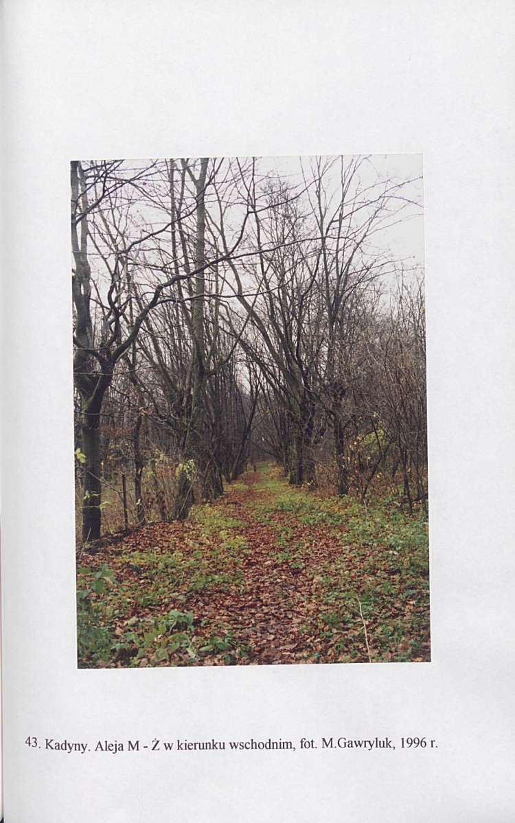 EP - Ewidencja parkowa, skan nr 185