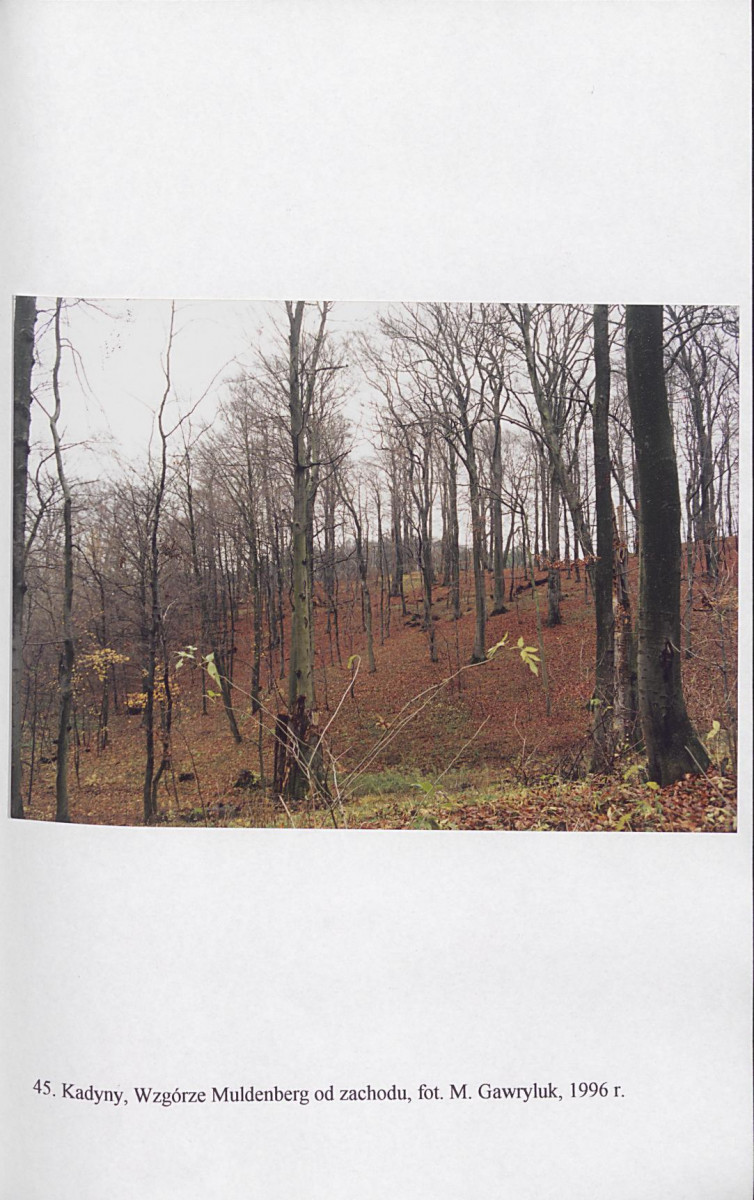 EP - Ewidencja parkowa, skan nr 187