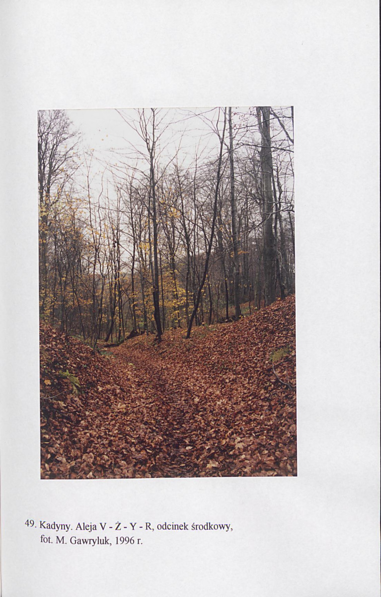 EP - Ewidencja parkowa, skan nr 191