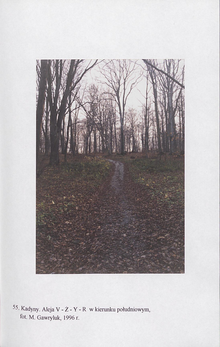 EP - Ewidencja parkowa, skan nr 197