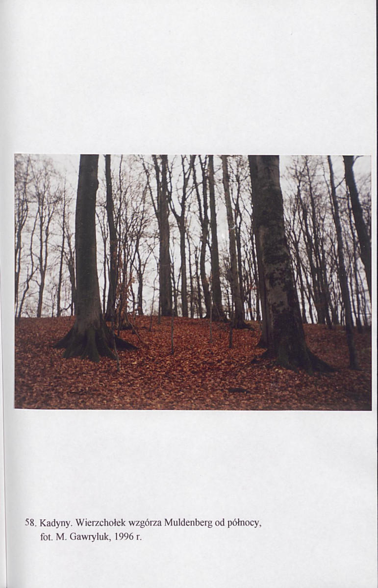 EP - Ewidencja parkowa, skan nr 199