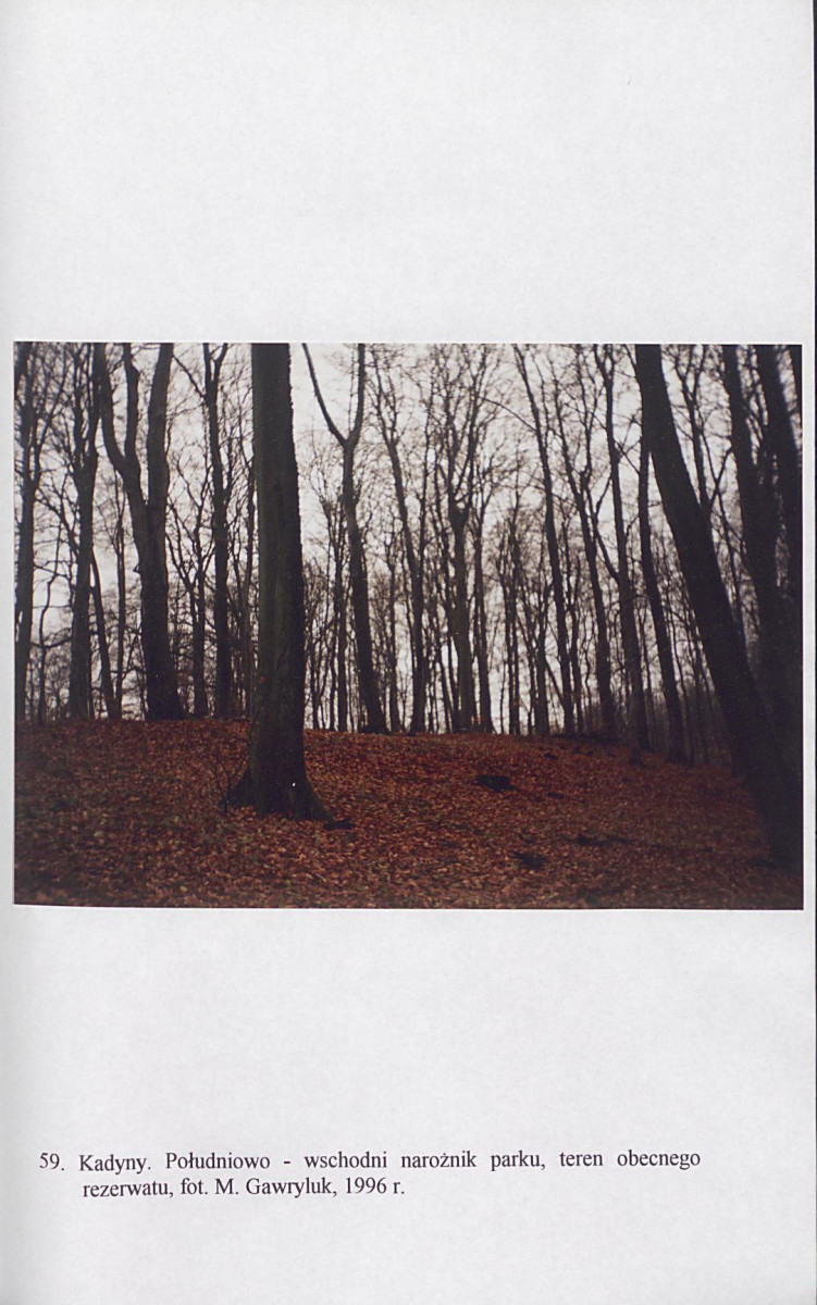 EP - Ewidencja parkowa, skan nr 200