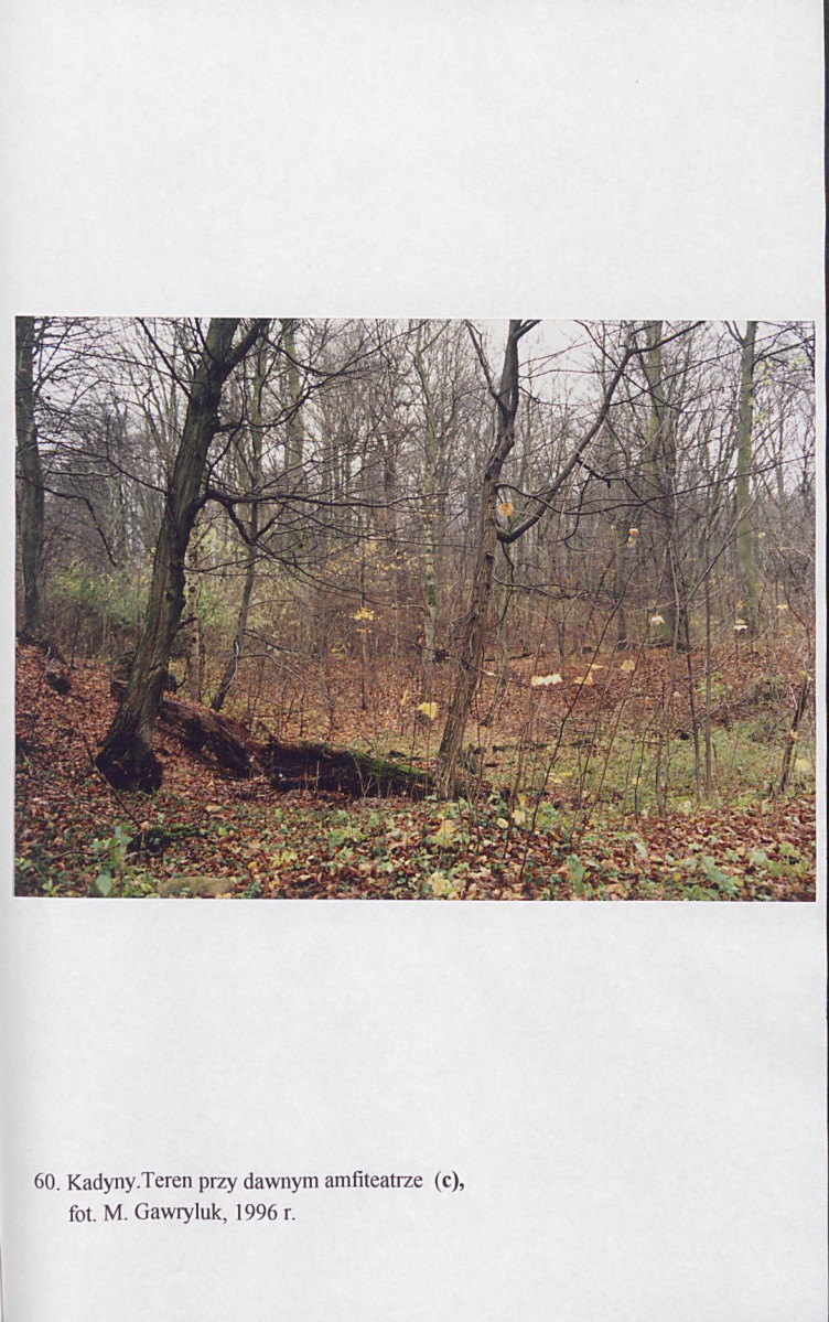 EP - Ewidencja parkowa, skan nr 201