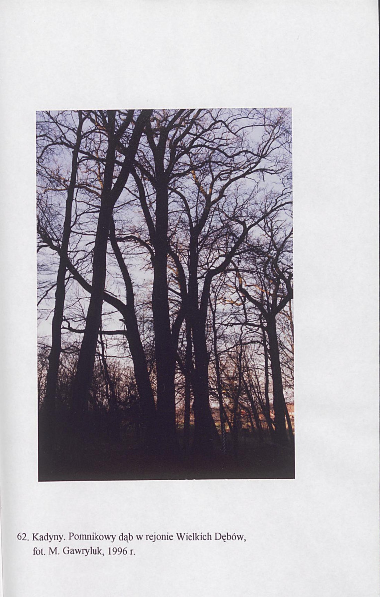 EP - Ewidencja parkowa, skan nr 203