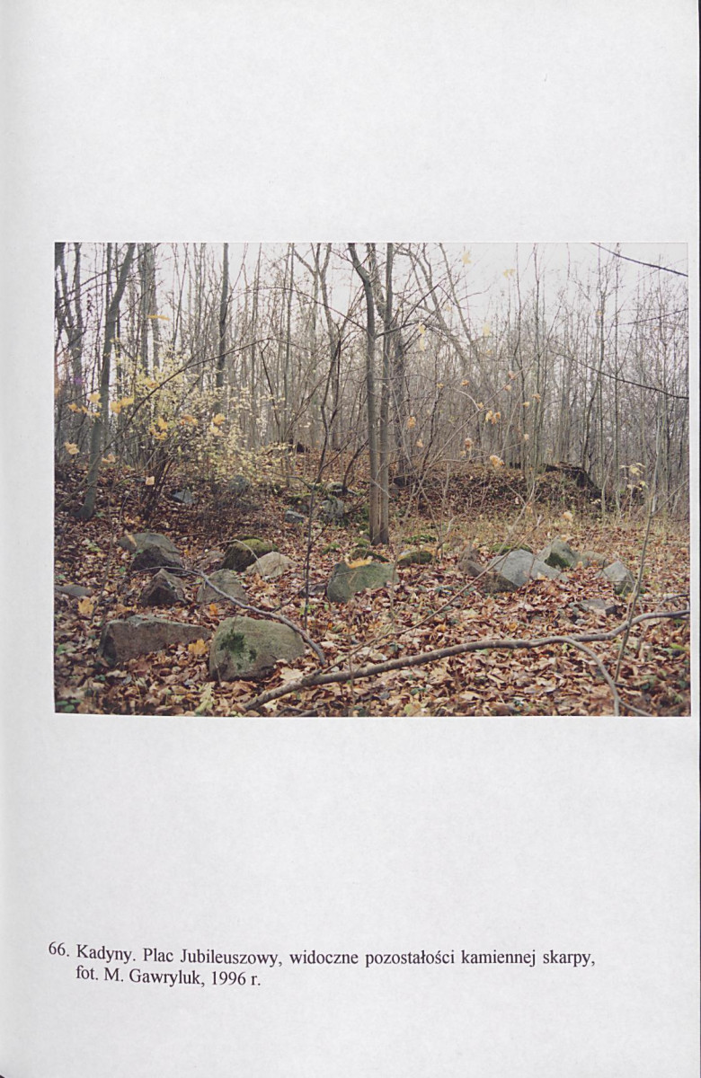 EP - Ewidencja parkowa, skan nr 207