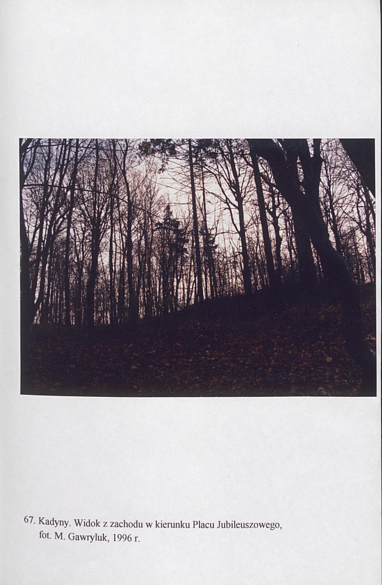 EP - Ewidencja parkowa, skan nr 208